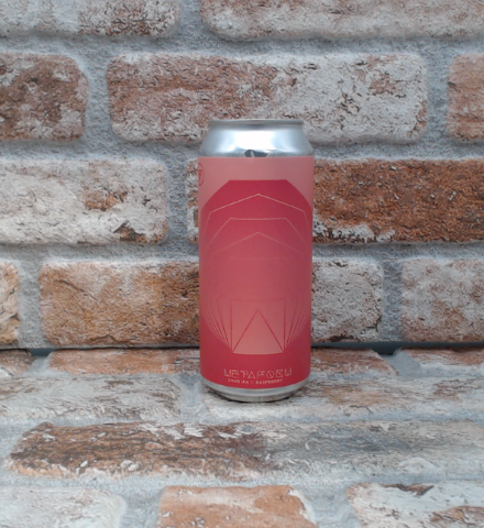 Homes Metaform Sour IPA Raspberry - 47.3 CL (1 pint)